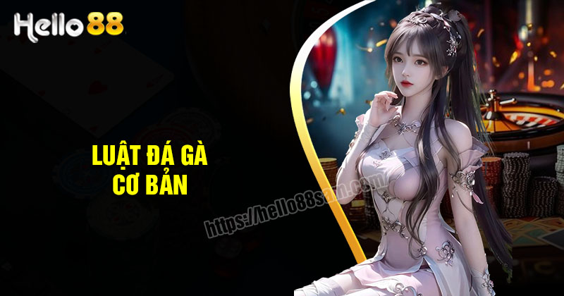 Thuật ngữ đá gà anh em cược thủ nên tìm hiểu